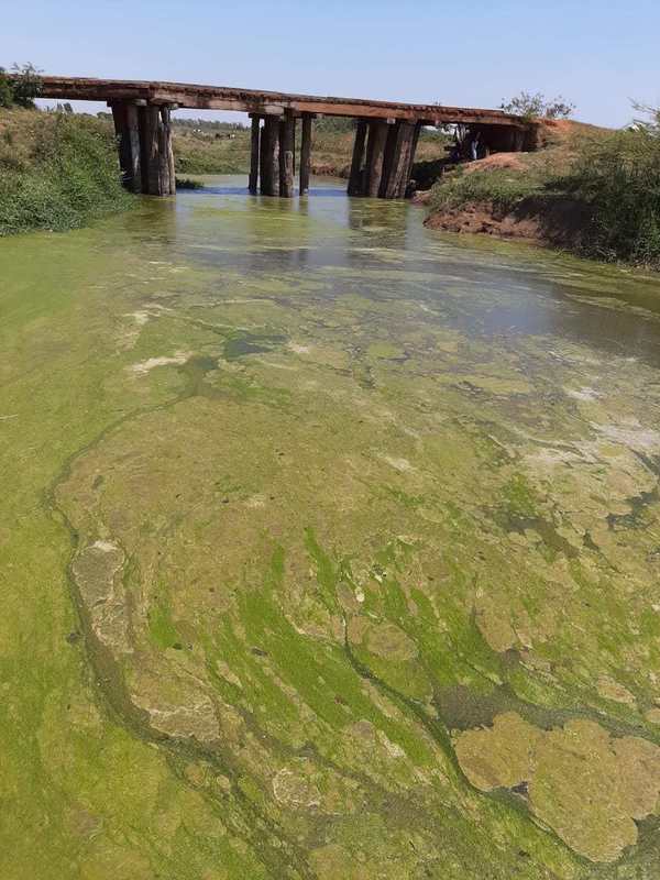 Altísima contaminación del arroyo Zapallo. - Campo 9 Noticias