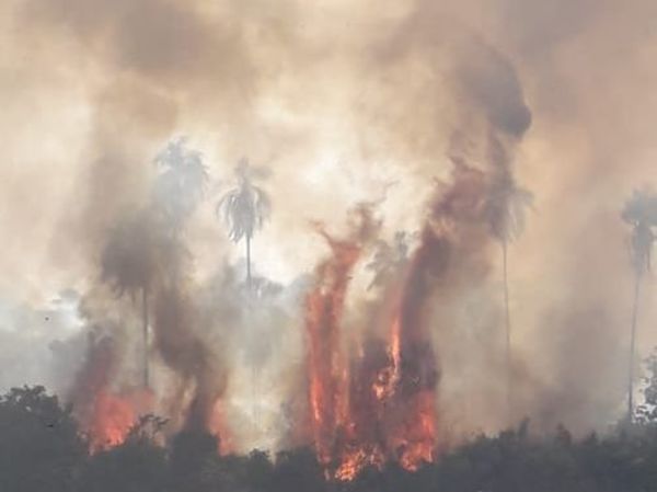 Incendio consume 20 hectáreas en franja de protección del embalse de Itaipú     - ABC en el Este - ABC Color