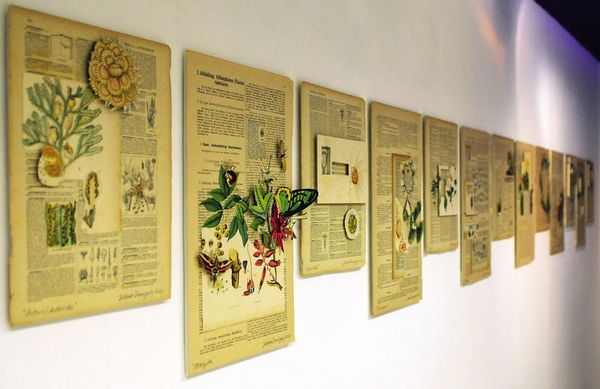 Microtopías y El jardín de Andrómaca - ABC Revista - ABC Color