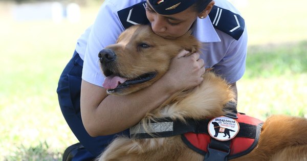 La Nación / Tarko, el perro que ayudó a Cyntia a superar la depresión