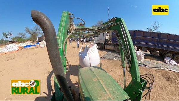 ABC Rural: Empresa crea balanceado con fibra - ABC Rural - ABC Color