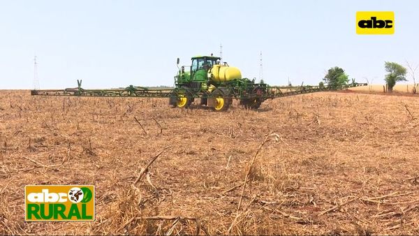 ABC Rural: Ventajas de una plataforma digital para el trabajo en el campo - ABC Noticias - ABC Color