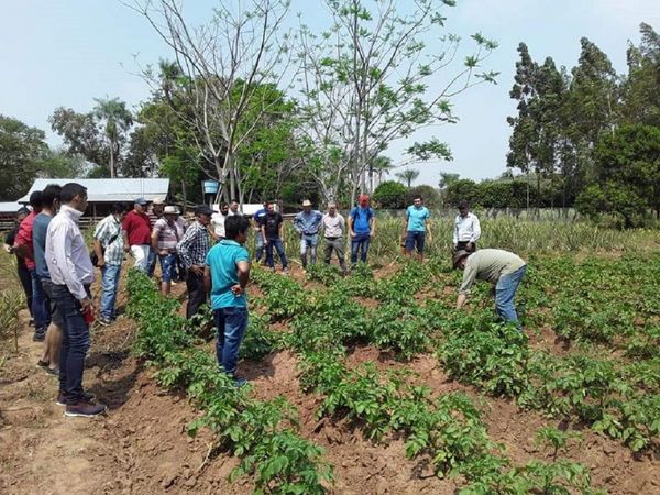 Pequeños productores solicitan mayor acompañamiento del MAG