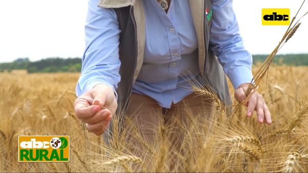 ABC Rural: Buscan motivar a niños y jóvenes a conocer el Agronegocio - ABC Rural - ABC Color