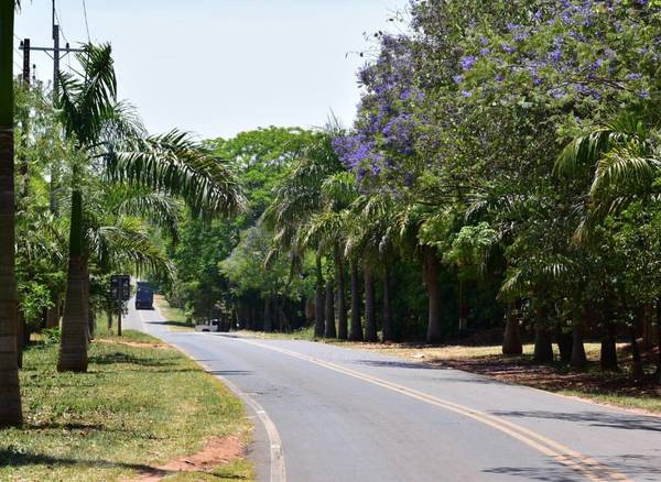 Probabilidades de lluvias para Misiones