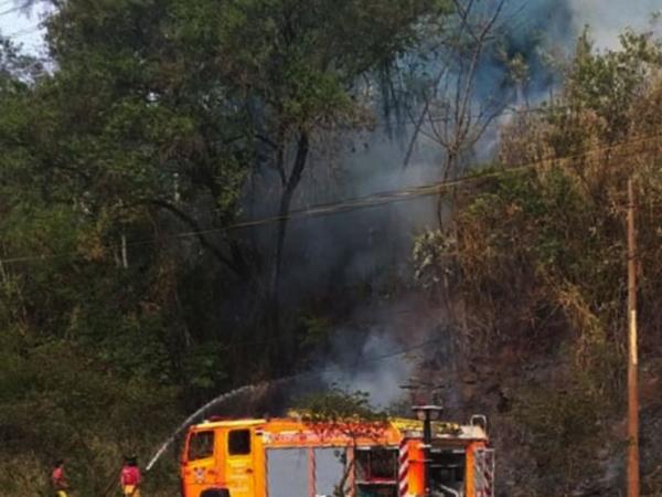 Otra vez, en Alto Paraná se registraron incendios en varias reservas forestales