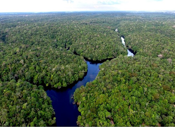 Empresa pone en marcha un proyecto de captura de carbono más grande del Chaco - El Trueno