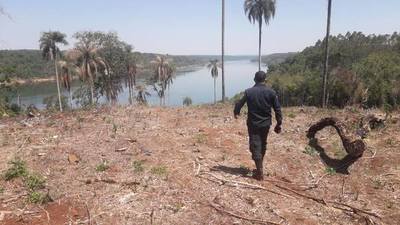 DENUNCIAN QUEMA DE BOSQUE NATIVO EN SAN RAFAEL DEL PNÁ
