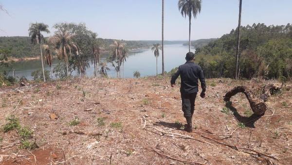 DENUNCIAN QUEMA DE BOSQUE NATIVO EN SAN RAFAEL DEL PNÁ
