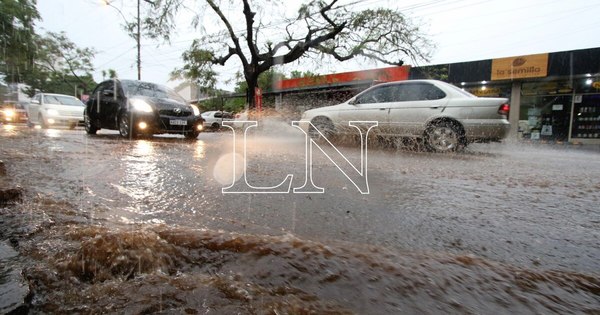 La Nación / Árboles caídos y semáforos fuera de servicio en Asunción tras intensas lluvias