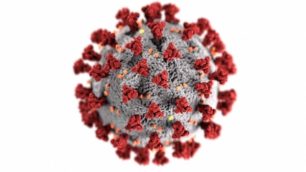 HOY / Anticuerpos preexistentes contra el coronavirus podrían ayudar a proteger a los niños contra una nueva cepa