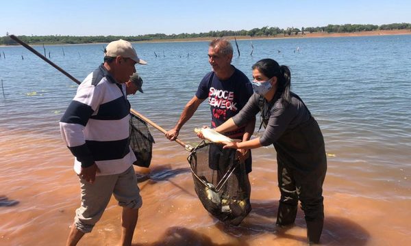 Siembran 1.000 peces en Lago Yguazú