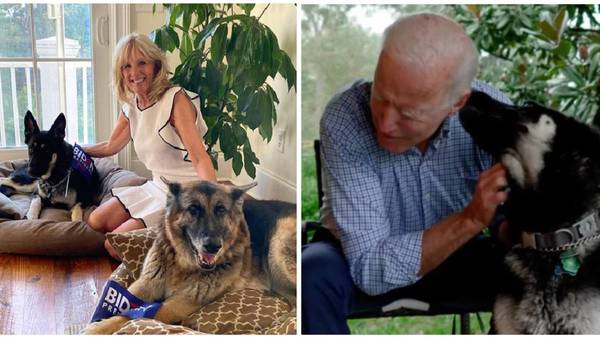 Joe Biden retoma la tradición de tener mascotas en la Casa Blanca - Noticiero Paraguay
