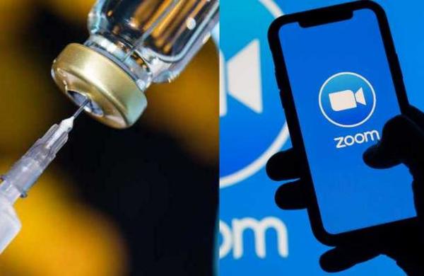 Las acciones de Zoom se desploman tras el anuncio de la vacuna de Pfizer - SNT