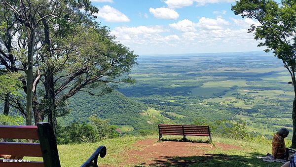 Fabrican bombas de semillas para reforestar la Cordillera del Ybyturuzú