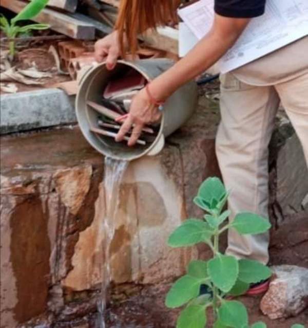 Aumentan notificaciones de dengue en Central e instan a eliminar criaderos | .::Agencia IP::.