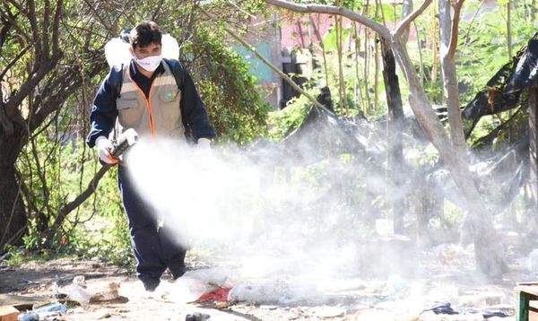 Dengue empieza a ganar terreno en el actual epicentro del coronavirus - Nacionales - ABC Color