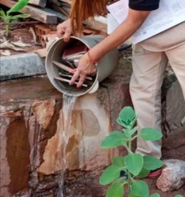 Aumentan notificaciones de dengue en Central e instan a eliminar criaderos