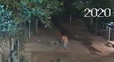 Buscan a hombre que quiso hacer “justicia por mano propia” y terminó matando otro - Nacionales - ABC Color