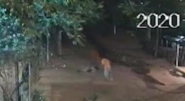Buscan a hombre que quiso hacer “justicia por mano propia” y terminó matando otro - Nacionales - ABC Color