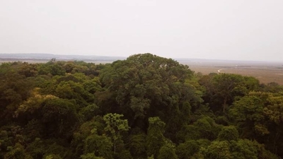 HOY / Finalizaron las expediciones de Colosos de la Tierra
