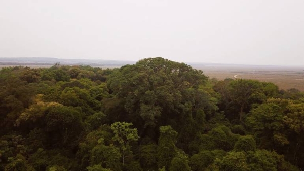 HOY / Finalizaron las expediciones de Colosos de la Tierra