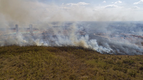 La UE urge a Brasil a mostrar datos positivos sobre la deforestación en la Amazonía - MarketData