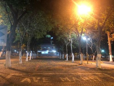Hacienda y SEN trabajan en ayuda a trabajadores de Caacupé y Encarnación, dice viceministra - Nacionales - ABC Color
