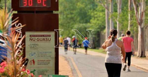 La Nación / Parque Ñu Guasu cuenta con medidor de calidad del aire