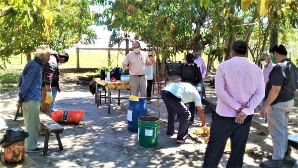 Agricultores reciben capacitación en producción y sanitación de semillas de papa | .::Agencia IP::.