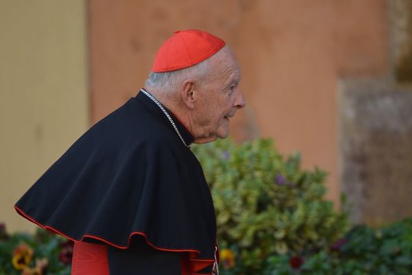 Vaticano niega haber encubierto los abusos sexuales cometidos por excardenal McCarrick - Mundo - ABC Color