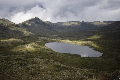 BBVA Fiduciaria lanza un fondo de inversión para conservar páramos en Colombia - MarketData