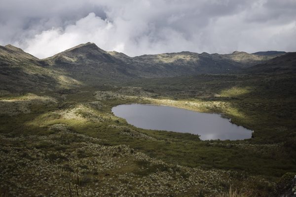 BBVA Fiduciaria lanza un fondo de inversión para conservar páramos en Colombia - MarketData