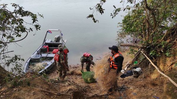 Hallan plantines de marihuana durante operativo de decomiso de elementos de pesca en Ayolas - Nacionales - ABC Color