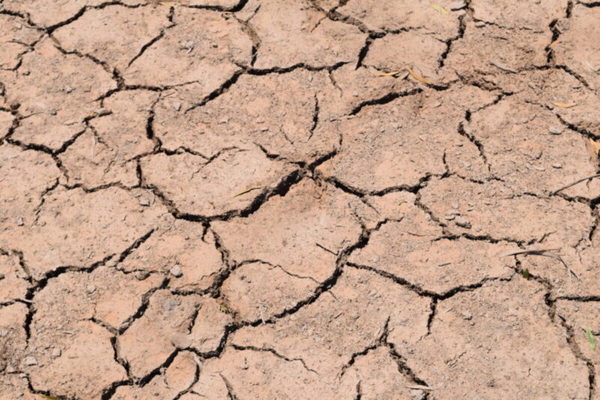 América del Sur atraviesa la segunda sequía más intensa desde 2002, según la NASA