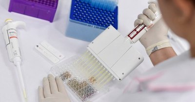 La Nación / COVID-19: varias vacunas deberían aprobarse en el 2021, afirma científico británico