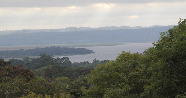 Acuífero Patiño contiene 88% de coliformes fecales - ADN Paraguayo