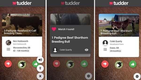 Apps ganaderas insólitas pero útiles que triunfan a nivel mundial (desde emparejar a un toro hasta chatear con vacas)