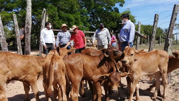 Ñeembucú potencia su producción de leche y queso con proyecto de mejoramiento genético | .::Agencia IP::.