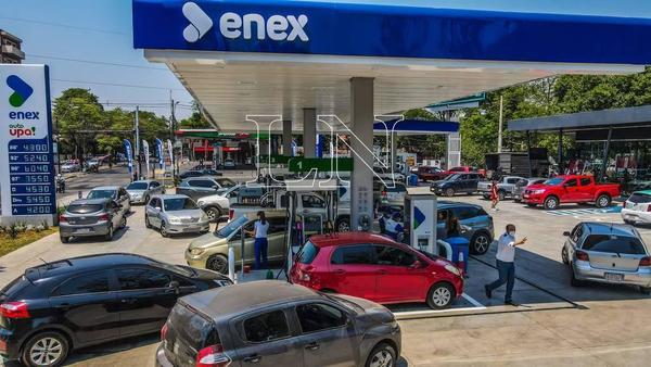 Enex apunta a liderar el mercado paraguayo con productos de calidad y buen precio - ADN Paraguayo