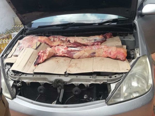 Contrabando: traía 280 kilos de carne en el motor del auto