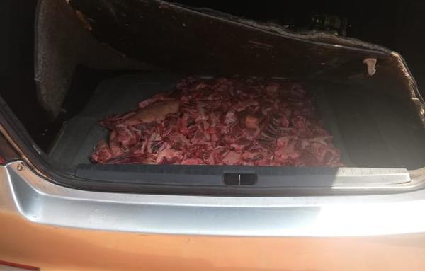 Ja'u la asado al aceite de motor! Incautan 285 kilos de carne oculta en motor de vehículo