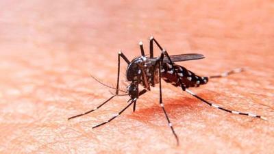 Siguen en aumento las notificaciones de casos sospechosos y positivos de dengue – Prensa 5