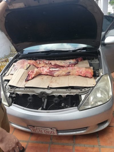 Crónica / Ojetopami 280 kilos de carne escondidos por todas partes en un vehículo