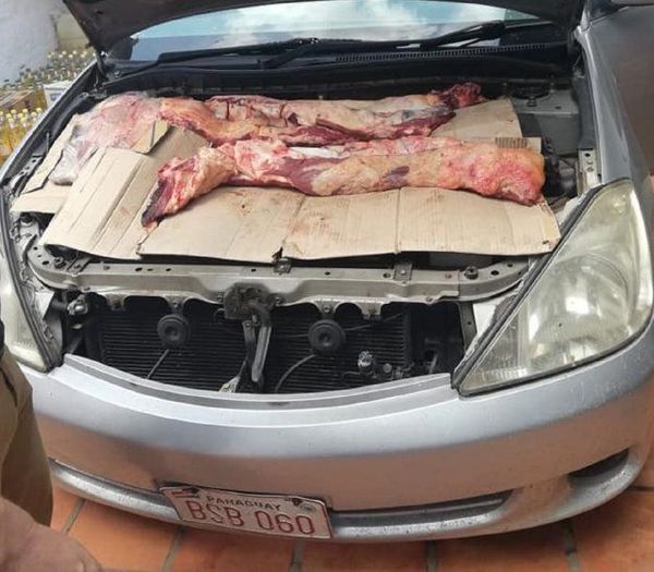 Decomisan 280 kilos de carne de presunto contrabando que iban entre las partes del motor de un vehículo