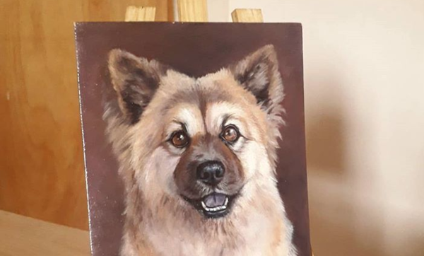 HOY / Las mascotas son las protagonistas en "Miradas", serie de pinturas en la galería de la Manzana de la Rivera