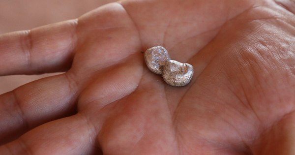 La Nación / Estado dejó de percibir US$ 8 millones por explotación de oro en Paso Yobái