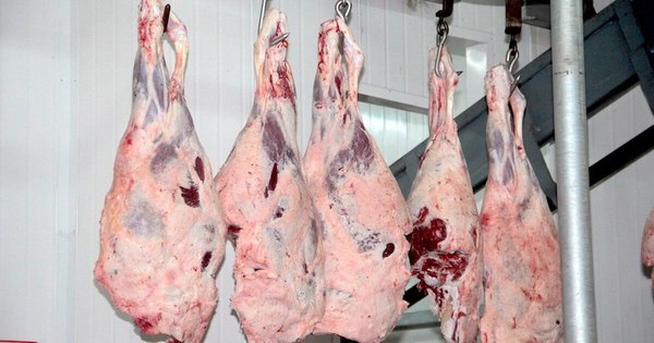 La Nación / Ingreso por envíos de carne fue de US$ 940,2 millones a octubre