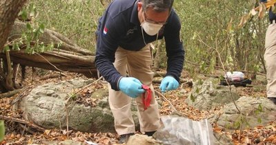 La Nación / Madre de niña habría sufrido lavado de cerebro