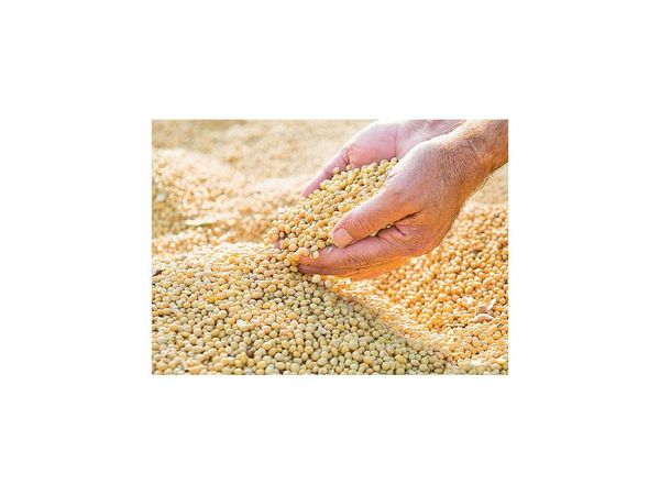 Multinacional agrícola venderá acciones